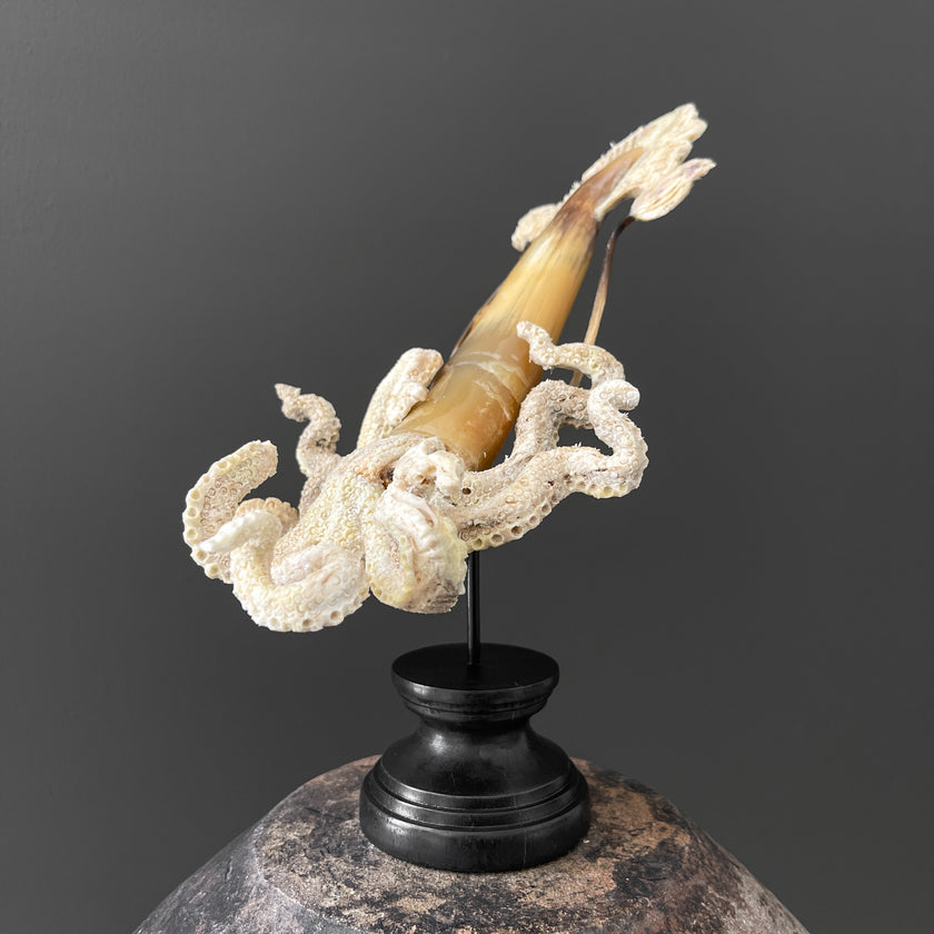 A Stunning Hand Carved Octopus With Horn on a Stand - 7S/109