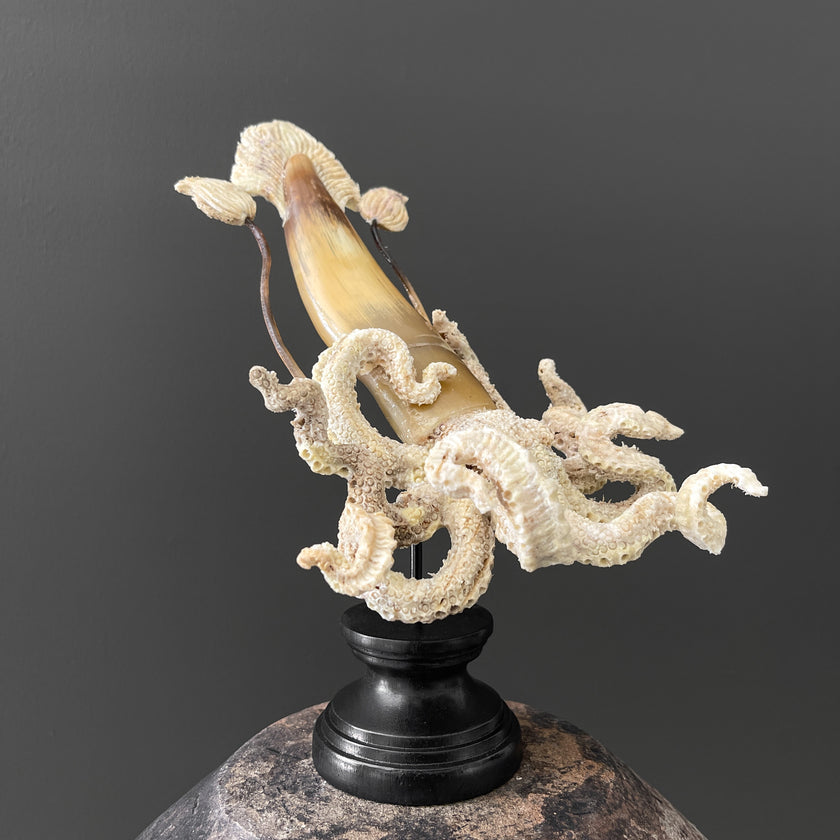 A Stunning Hand Carved Octopus With Horn on a Stand - 7S/109