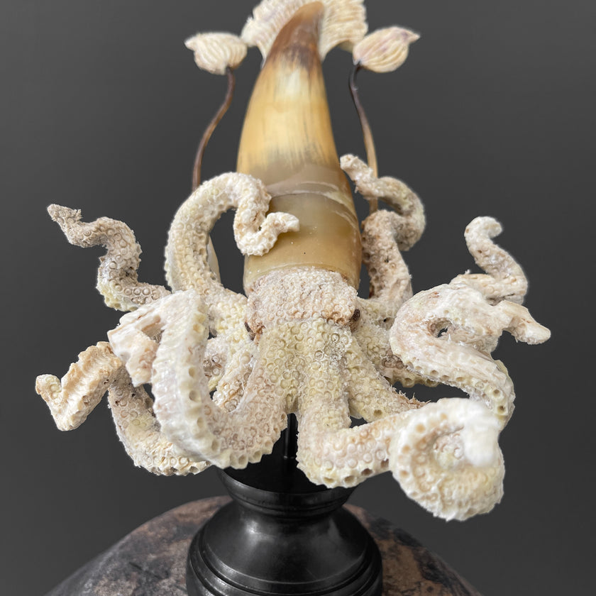 A Stunning Hand Carved Octopus With Horn on a Stand - 7S/109