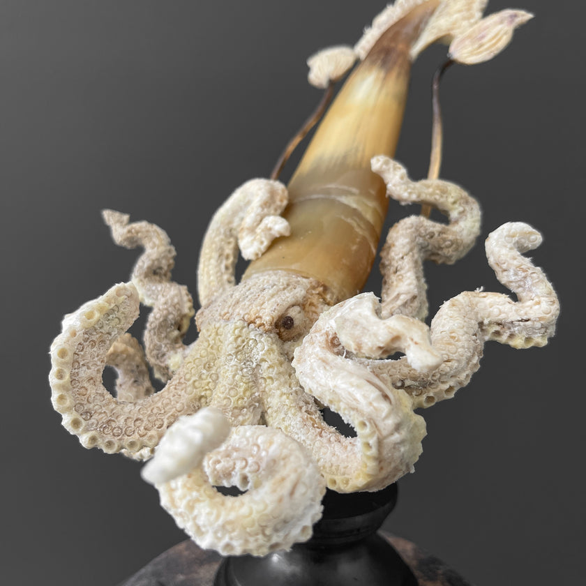 A Stunning Hand Carved Octopus With Horn on a Stand - 7S/109