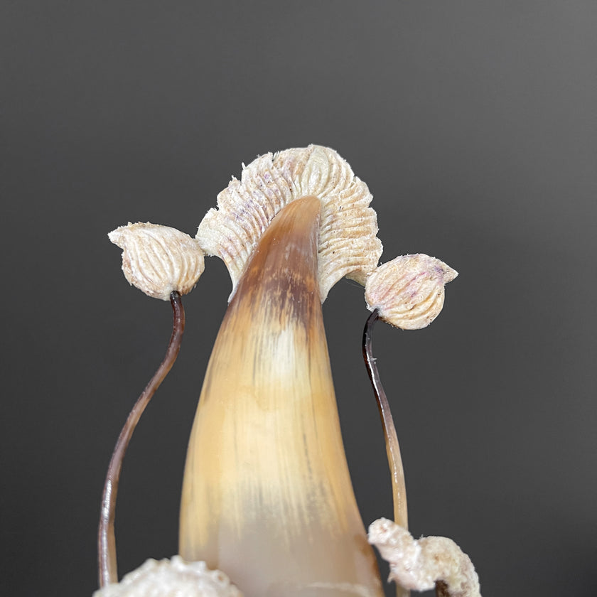 A Stunning Hand Carved Octopus With Horn on a Stand - 7S/109