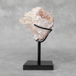 Beautiful Quartz Crystal cluster on a custom stand CC/522