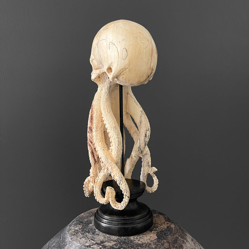 Tamarind Wood Skull with Carved Tentacles - 7S/110