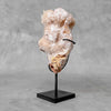 Beautiful Quartz Crystal cluster on a custom stand CC/527