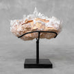 Beautiful Quartz Crystal cluster on a custom stand CC/528