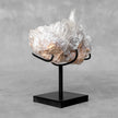 Beautiful Quartz Crystal cluster on a custom stand CC/528