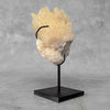 Beautiful Quartz Crystal cluster on a custom stand CC/536