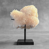 Beautiful Quartz Crystal cluster on a custom stand CC/549