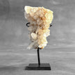 Beautiful Quartz Crystal cluster on a custom stand CC/551