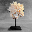 Beautiful Quartz Crystal cluster on a custom stand CC/554