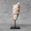 Beautiful Quartz Crystal cluster on a custom stand CC/538