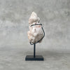 Beautiful Quartz Crystal cluster on a custom stand CC/539