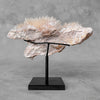 Beautiful Quartz Crystal cluster on a custom stand CC/542