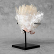 Beautiful Quartz Crystal cluster on a custom stand CC/543