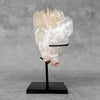 Beautiful Quartz Crystal cluster on a custom stand CC/543