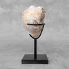 Beautiful Quartz Crystal cluster on a custom stand CC/546