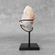 Beautiful Quartz Crystal cluster on a custom stand CC/548