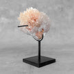 Beautiful Quartz Crystal cluster on a custom stand CC/548