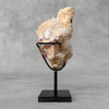 Beautiful Quartz Crystal cluster on a custom stand CC/553