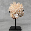 Beautiful Quartz Crystal cluster on a custom stand CC/554