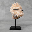 Beautiful Quartz Crystal cluster on a custom stand CC/554