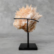 Beautiful Quartz Crystal cluster on a custom stand CC/554