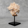 Beautiful Quartz Crystal cluster on a custom stand CC/554