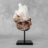 Beautiful Quartz Crystal cluster on a custom stand CC/559