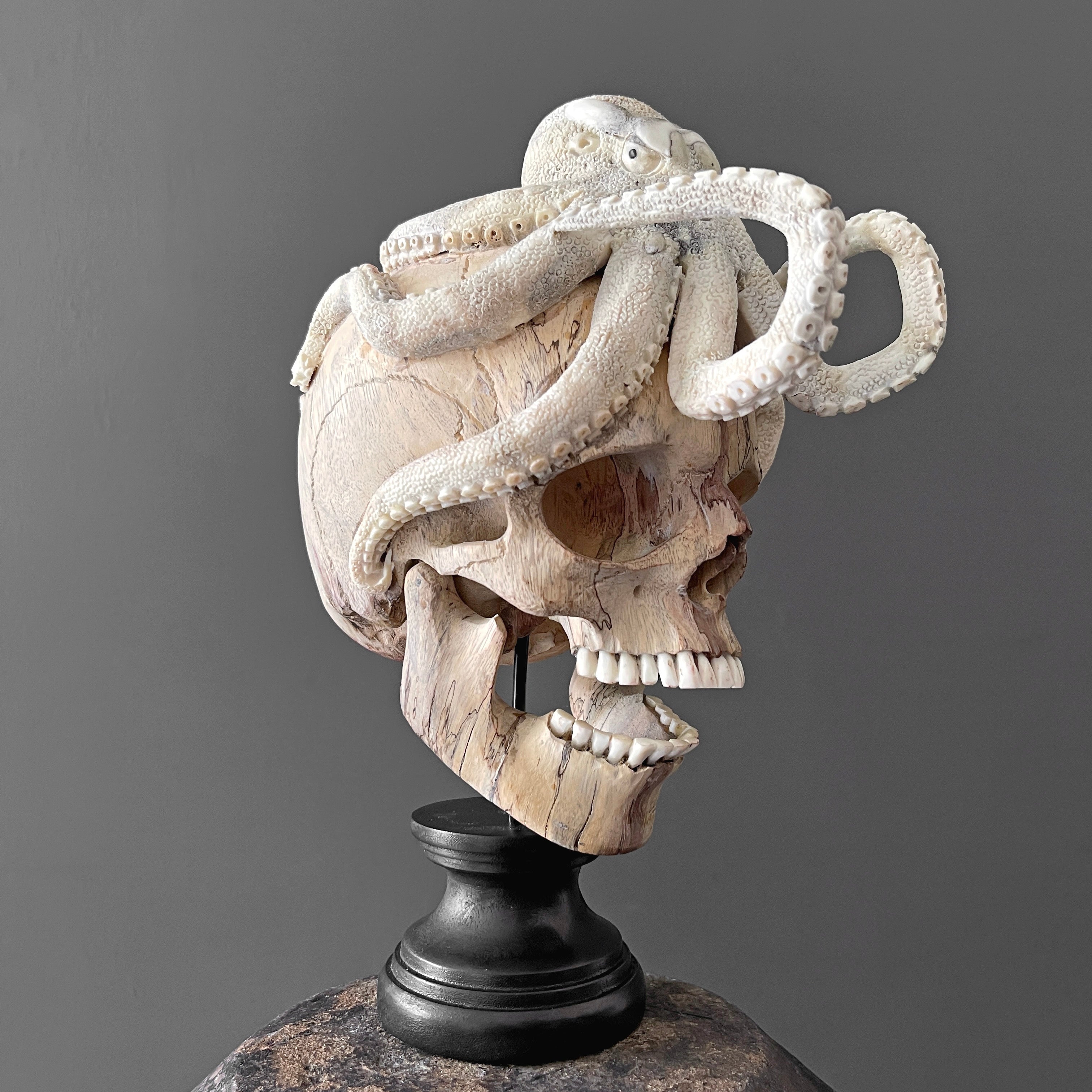 Tarmarind Wooden Skull With Octopus Carving Antler - 6M/108