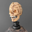 Tamarind Wooden Skull With Craved Octopus - 7J/108