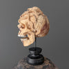 Tamarind Wooden Skull With Craved Octopus - 7J/108