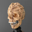 Tamarind Wooden Skull With Craved Octopus - 7J/108