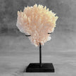 Beautiful Quartz Crystal cluster on a custom stand CC/580