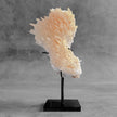 Beautiful Quartz Crystal cluster on a custom stand CC/583