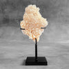 Beautiful Quartz Crystal cluster on a custom stand CC/595