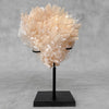 Beautiful Quartz Crystal cluster on a custom stand CC/580