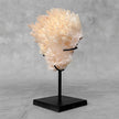 Beautiful Quartz Crystal cluster on a custom stand CC/580