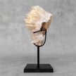 Beautiful Quartz Crystal cluster on a custom stand CC/580