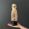 Tamarind Wood Skull with Carved Tentacles - 7G/110