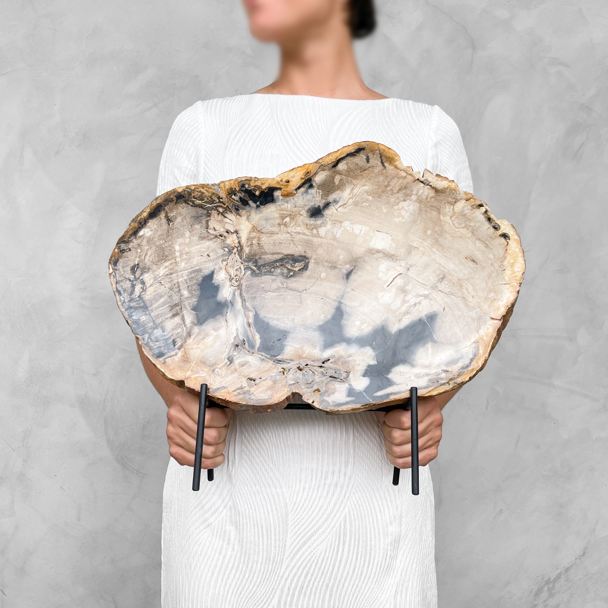 Beautiful Slice of Petrified Wood on stand - 9O/133