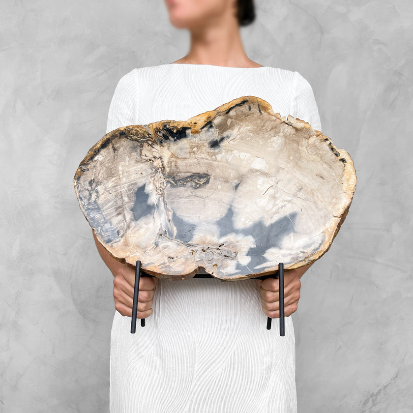 Beautiful Slice of Petrified Wood on stand - 9O/133