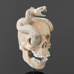 Tarmarind Wooden Skull With Snake Carving Antler - 7L/107