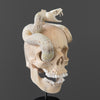 Tarmarind Wooden Skull With Snake Carving Antler - 7L/107