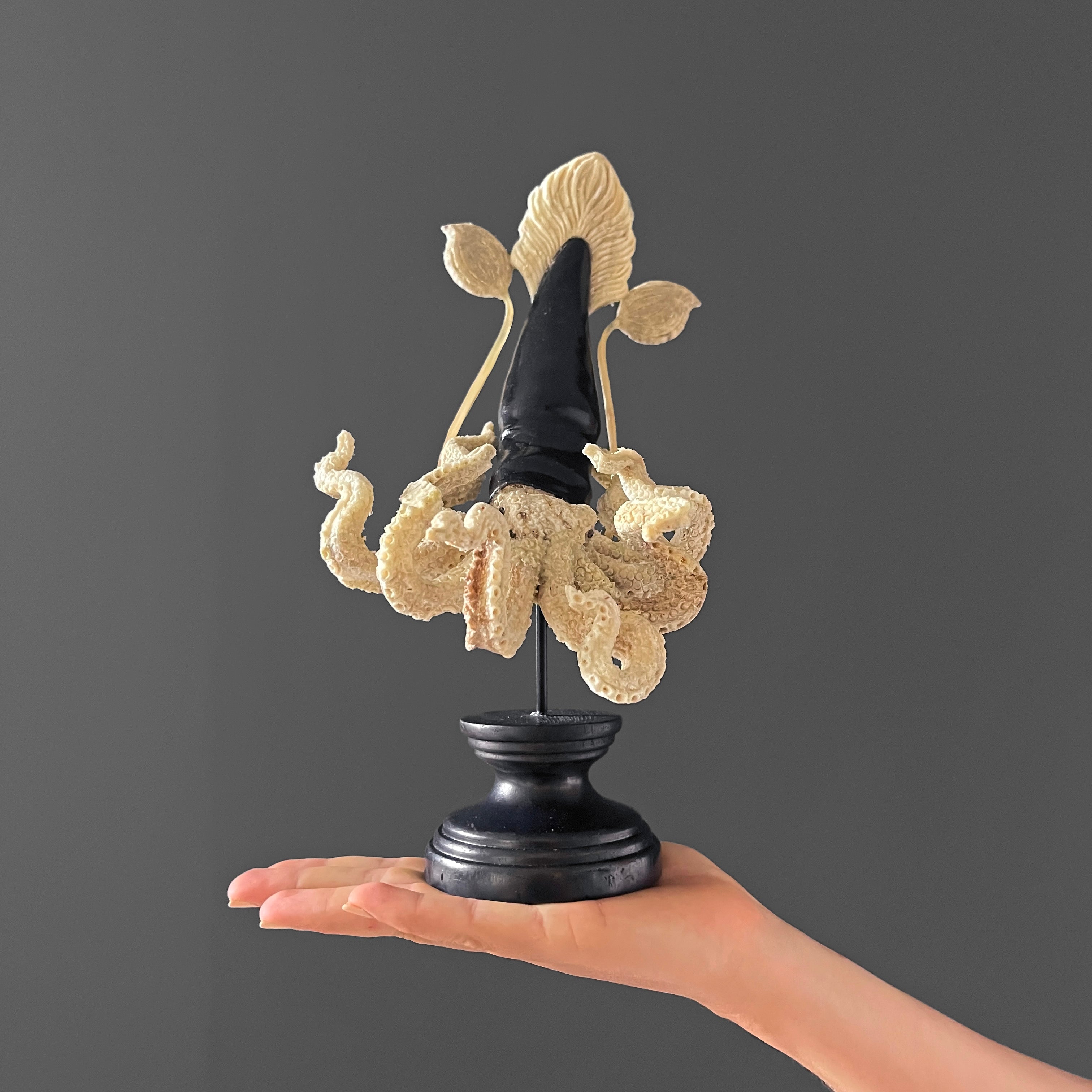 A Stunning Hand Carved Octopus With Horn on a Stand - 7Z/109