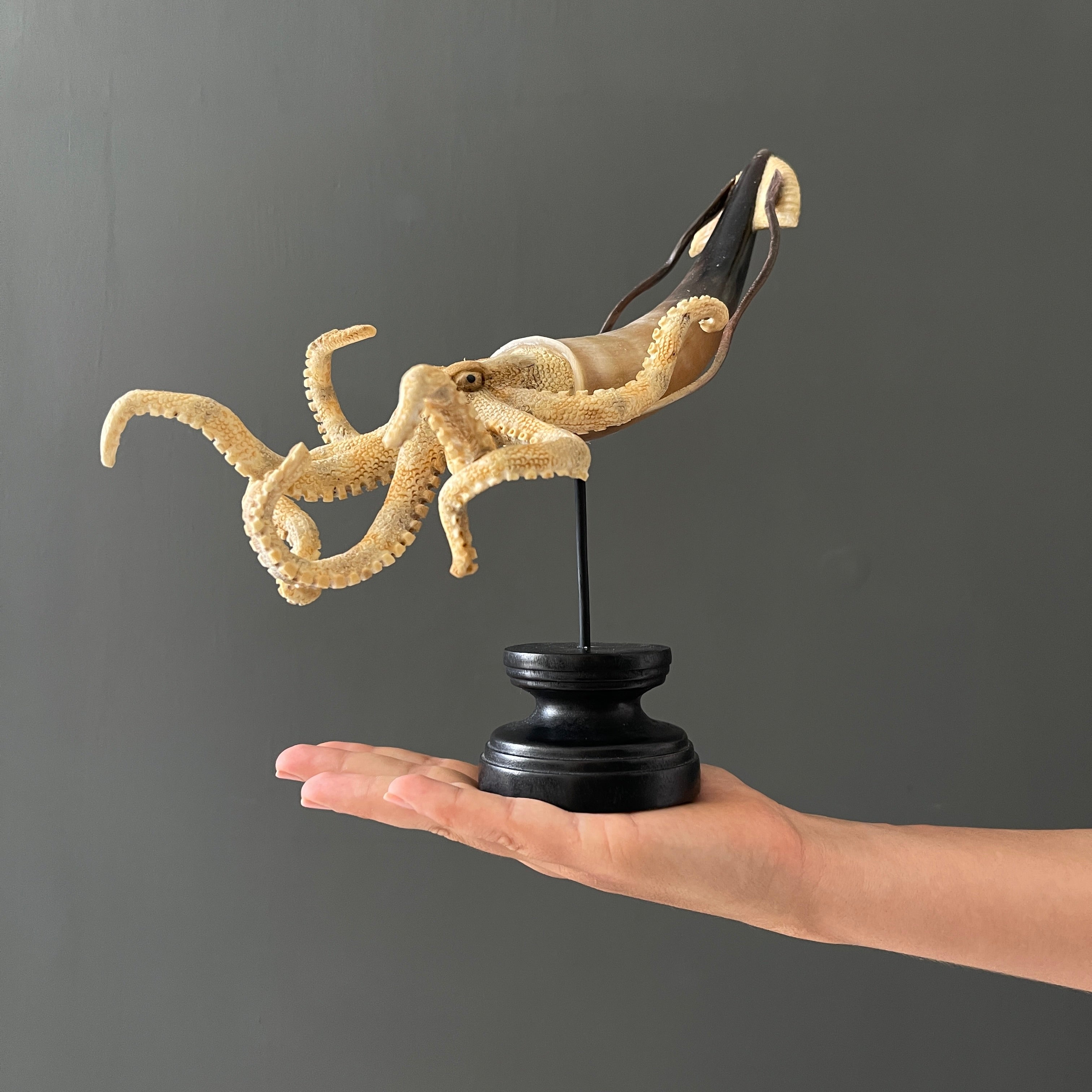 A Stunning Hand Carved Octopus With Horn on a Stand - 22/EX/380