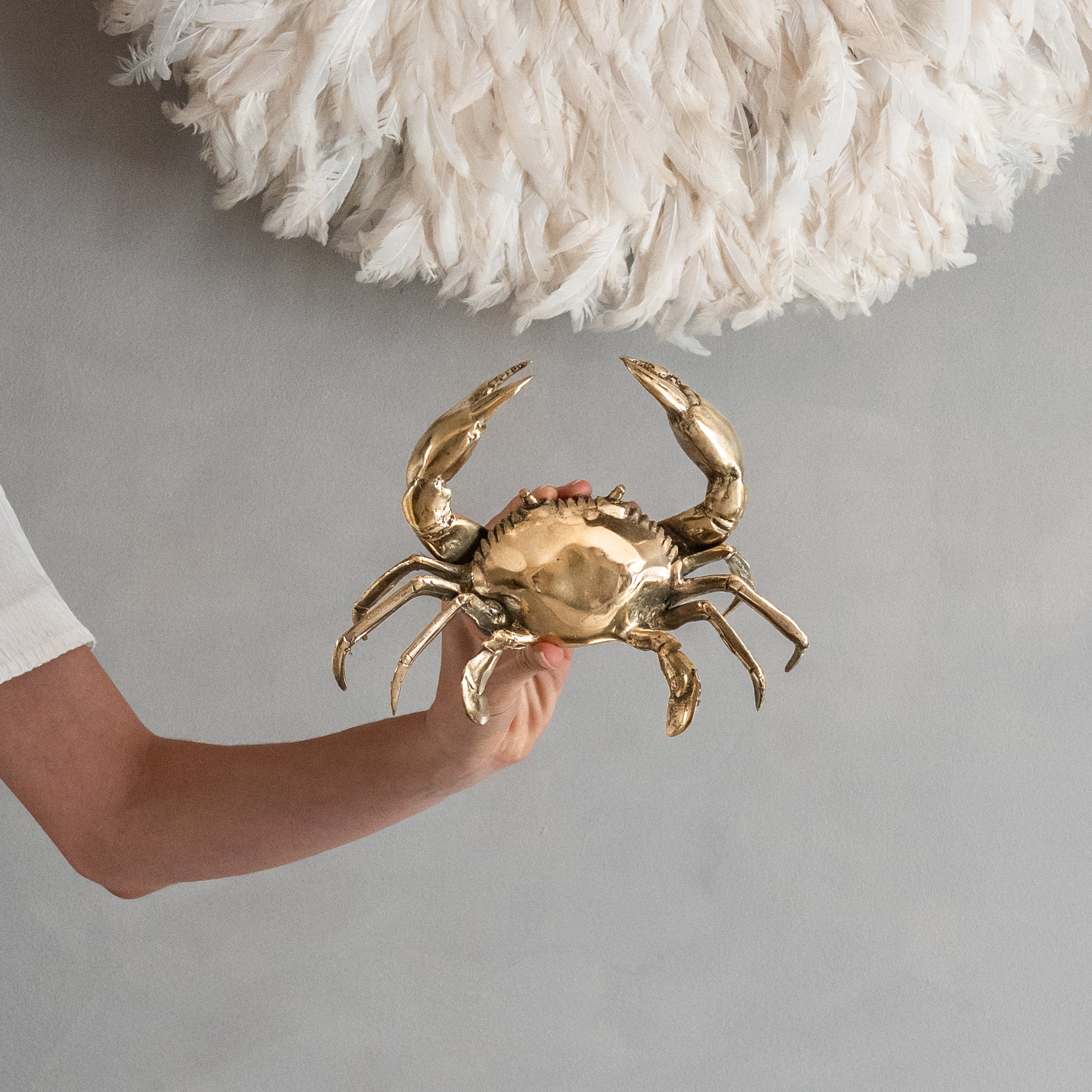 Crab Polished Bronze - Small