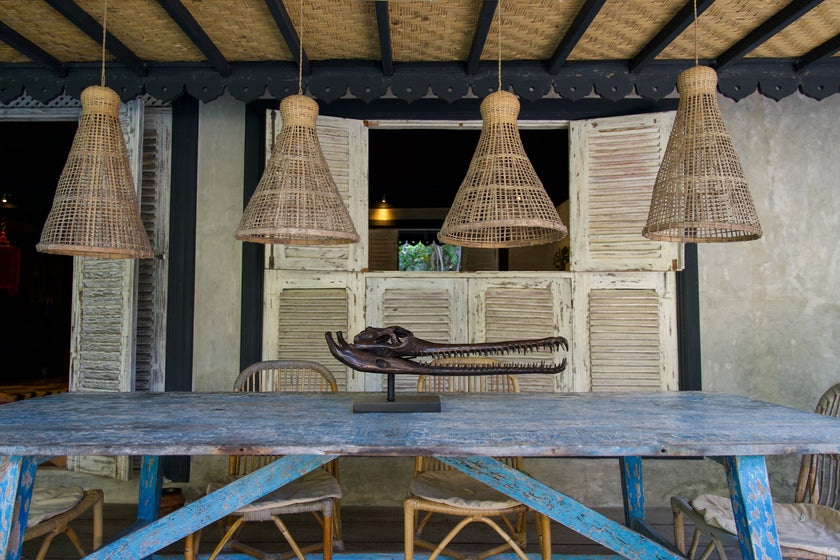 Gharial Skull 50 cm - Medium