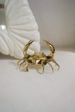 Crab Polished Bronze - Small