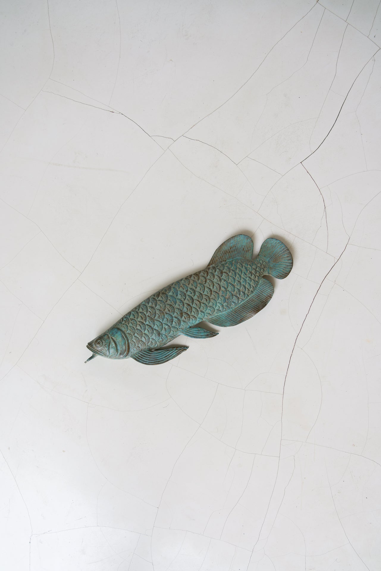 Arowana Fish Patinated Bronze