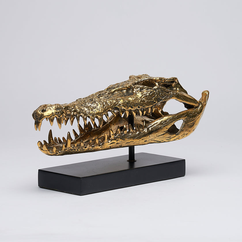 Crocodile Skull Saltwater Polished Bronze - Medium